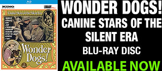Wonder Dogs BD